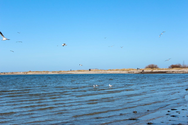 Laboe/Hohwachter Bucht