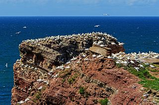 Helgoland